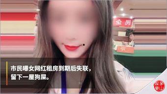 网红初见档案,网红背后的真实故事