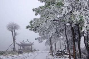 杭州看雪日料,冬日里的暖意与美味邂逅