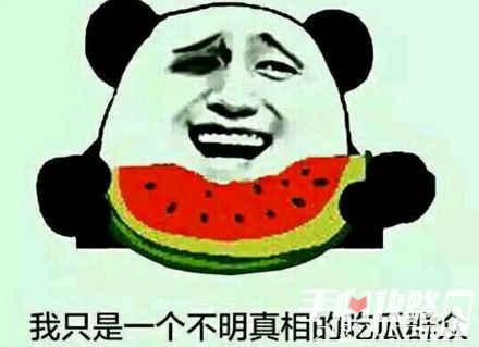 吃瓜专用图瓜子,品味人生——吃瓜专用图瓜子，解锁快乐生活新姿势